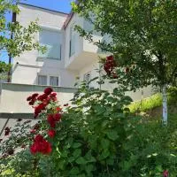 Villa Sunny Alley - Sunčani Sokak, Hotel in Sarajevo