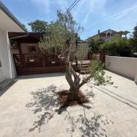 Texsas property، فندق في باكوشتاني