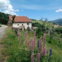 Chez JF et ISA, hotel en Bussang