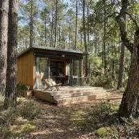 La forêt PALOMA, Ecolodge, hotel en Léon