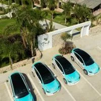 TAF Beach Villas with TESLA, отель в Тигаки