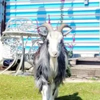 Treguth Glamping Unique Experience - Themed Huts, hotel v destinácii Saint Day