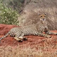 Tausa Tsavo Eco Lodge, hotel u gradu Voi