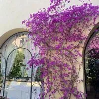 Villa Orsini، فندق في تور فيرغاتا