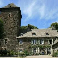 Château de Lescure, hotel em Saint-Martin-sous-Vigouroux