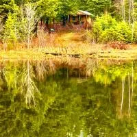 Lookout Cabin, Hotel in Barton