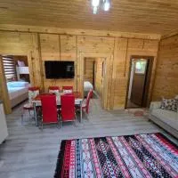 Katipogulları Apart, Hotel in Uzungöl
