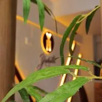 Hotel Yahalis, hotel u gradu Jilotepec de Abasolo