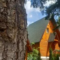 ZlatAir Eco Chalet, hotel di Nova Varos