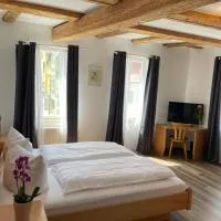 Brauereigasthof Hotel Schlüssel, hotel em Giengen an der Brenz