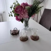 Cozy and Modern Apartment Your Home Away from Home، فندق في Lohra