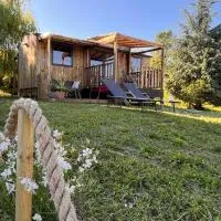 O'BARA Lodge - Tiny House - Jardin et climatisation, hotel in Druillat