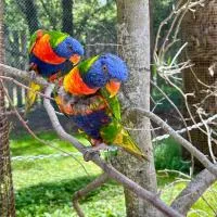 Suite Aracari, clim, balneo, terrasse - Parc des Oiseaux, hotel i Villars-les-Dombes