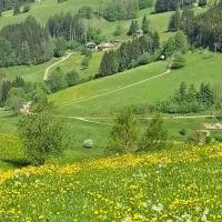 Ferienwohnung im Schwarzwald mit Blick ins Grüne und Balkon, hotelli kohteessa Schönwald