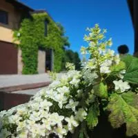 Casa Rifugio Parma, hotel a Basilicanova