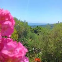 TraMonti e Mare, vista mare giardino, la casa che in ogni stagione si trasforma!、チェッレ・リーグレのホテル