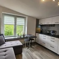 Studio w kamieniczce, hotelli kohteessa Konstantynów Łódzki