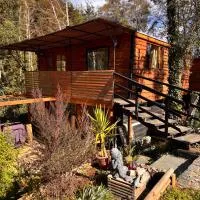 Cabaña en el bosque, Valdivia, hotel v destinácii Valdivia