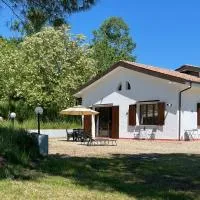 Dolce Collina, Sunset Terrace & Vineyard Views, ξενοδοχείο σε Dozza