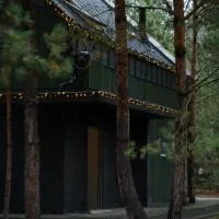 Нова Дача, hotel din Kozintsy