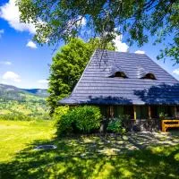 DejaView Casa Veche, hotel em Rogojel