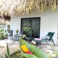 Chagres River Lodge, hotel di Santa Rosa