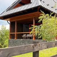 Casa Aproape de Stele din Beliș, Apuseni, hotel di Finciu