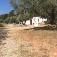 Casa Pineda
