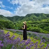 yangwon lavender 양원라벤더 금강송숲길 협곡열차, hotel en Wŏn'gok