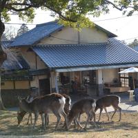 The Deer Park Inn, hotel in Nara Park, Nara