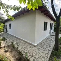 Acasa la Coana Mare، فندق في Bălăneşti