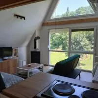 Vila SVITAC Banja Vrujci, hotel en Mionica