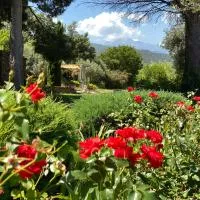 "MAS TRAMONTANE" Maison et Chambres d'hôtes avec vue sur le massif d'El Canigó, hotel em Ille-sur-Têt