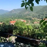Il Carpino - Dimora Antica con Sauna, hotel v destinaci Carpineto Romano