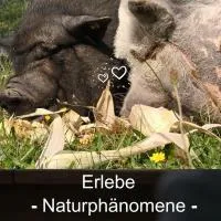 Braunfels में, होटल Kleine einzigartige Ferienwohnung auf dem Bauernhof, direkt in der Natur mit Blick auf Schloss Braunfels