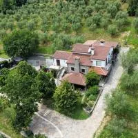 Stone House Apartment, Olive Grove & Valley View, Istria, hótel í Šmarje