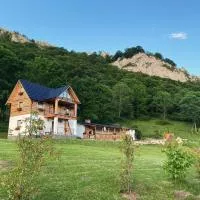 Căsuța Anei, hotel i Rîmeţi-Valea Inzelului