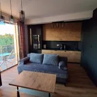 Apartament Poleska BIS, отель в Ченстохове