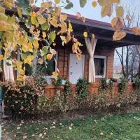 Bungalow Maria&Razvan, hotel en Pângărăcior