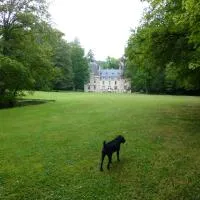 Chateau de la Raffe, хотел в Naix-aux-Forges