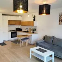 Studio Park Śląski m.10 Katowice/Chorzów, hotel em Chorzów