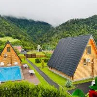 Eco cottage in Borjomi with pool 2, hotel a Sadgeri
