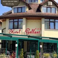 Hotel Gallant "Biker Friendly"، فندق في سيبيو