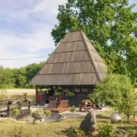 Brvnara Jez, hotel u gradu Kraljevo