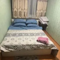 Квартира напротив аэропорта Алматы, hotel en Almaty