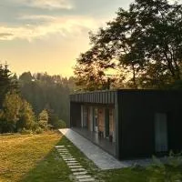 Cabana Forest: Borşa şehrinde bir otel