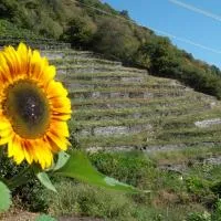 Guesthouse By Wild – hotel w mieście Linescio