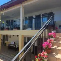 Pensiunea Nina, Hotel in 2 Mai