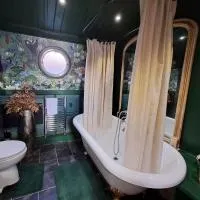 Selene Unique Luxury Houseboat Experience, מלון בצ'רטסי