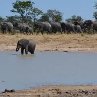 7 roomed boutique safari Lodge-Chobe Sunset Chalets, hotel v mestu Lesoma